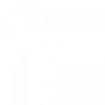 wise new logo